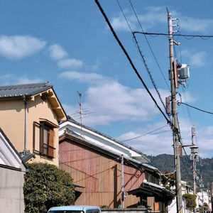 《吃老师的奶头》
